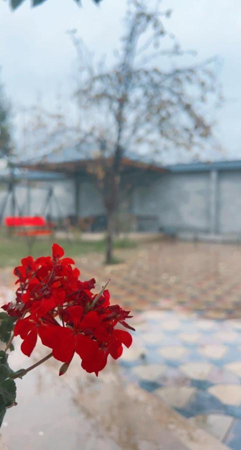 Emirest Villa Габала Екстер'єр фото
